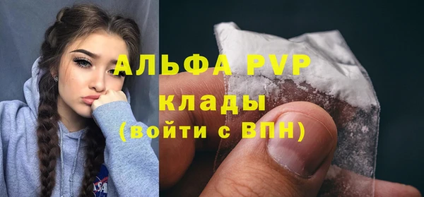 спиды Бородино