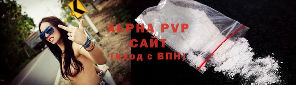 спиды Бородино