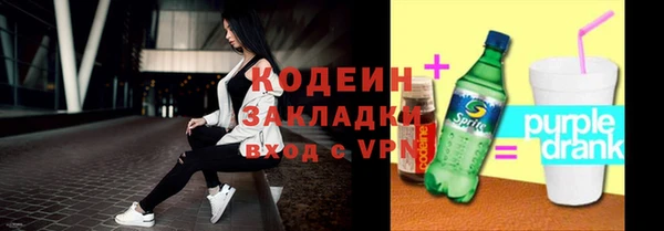 спиды Бородино