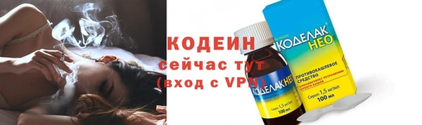 спиды Бородино