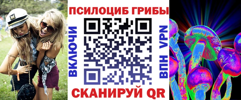 Галлюциногенные грибы Psilocybe  Ставрополь 